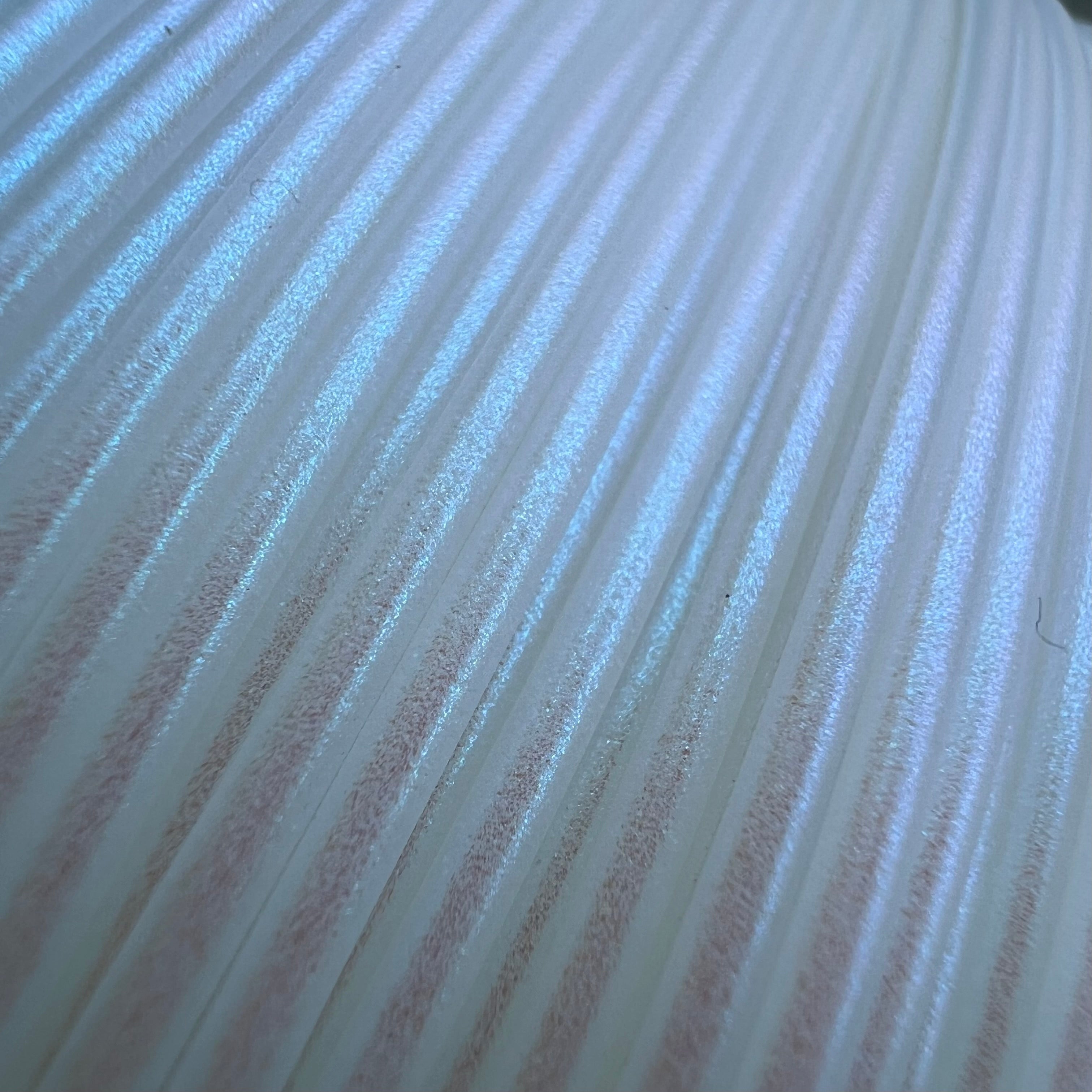Blue Pearl PLA Filament 1.75mm, 1kg